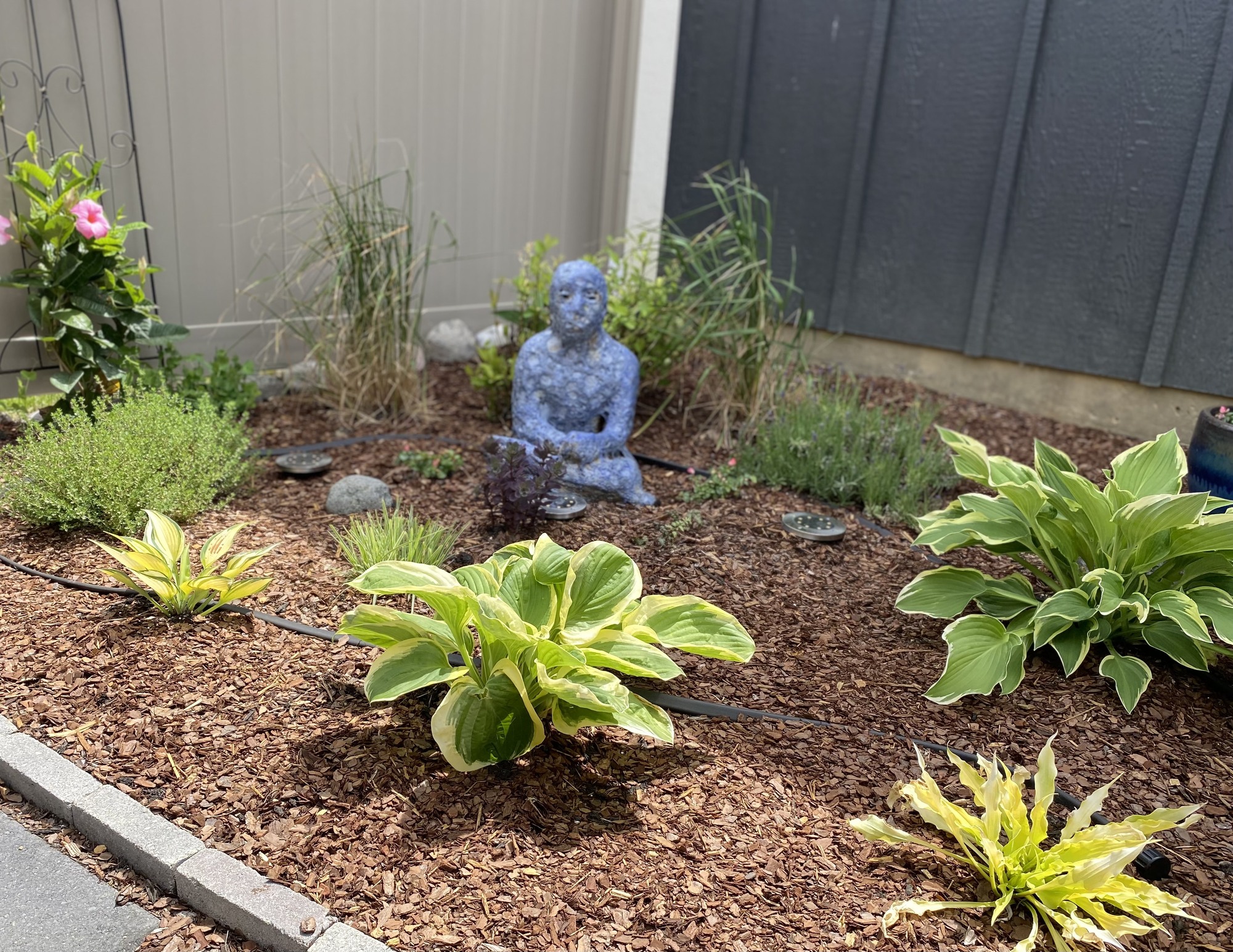 Peaceful Outdoor Sanctuary - Photo 6