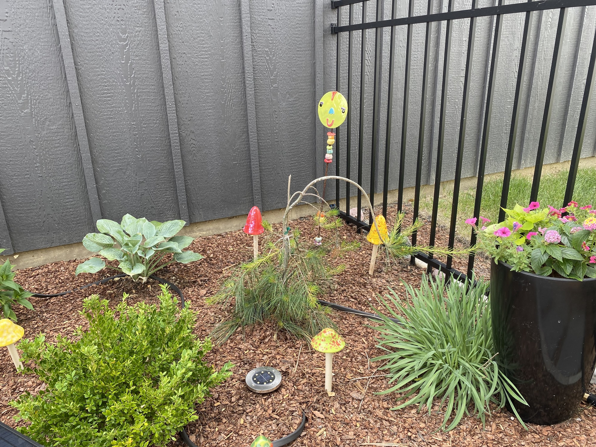 Peaceful Outdoor Sanctuary - Photo 7