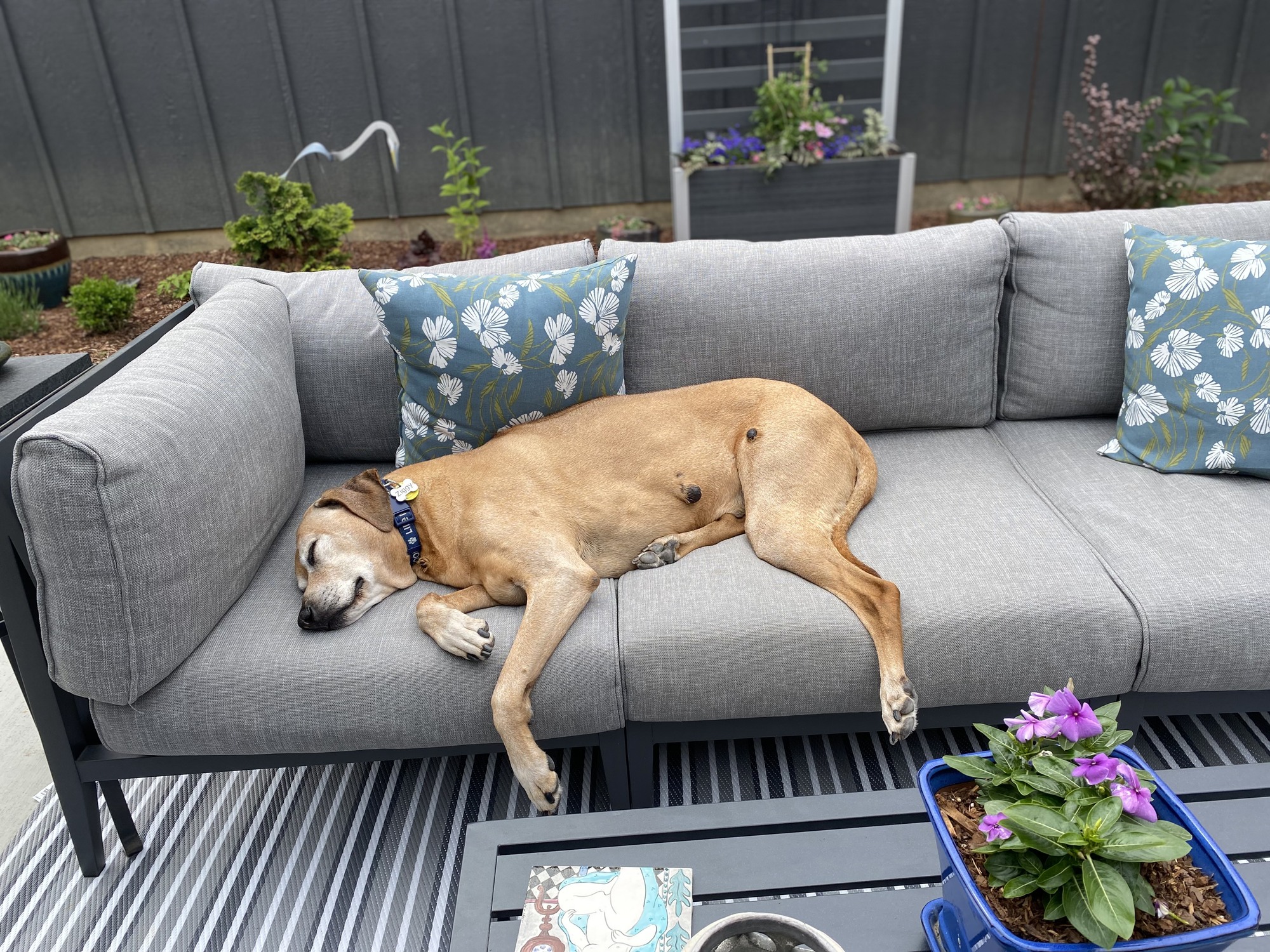 Peaceful Outdoor Sanctuary - Photo 8