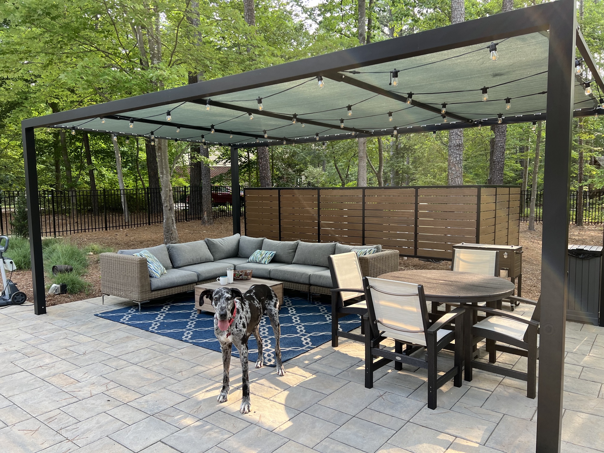 Family Backyard for Entertaining or Relaxation - Photo 2