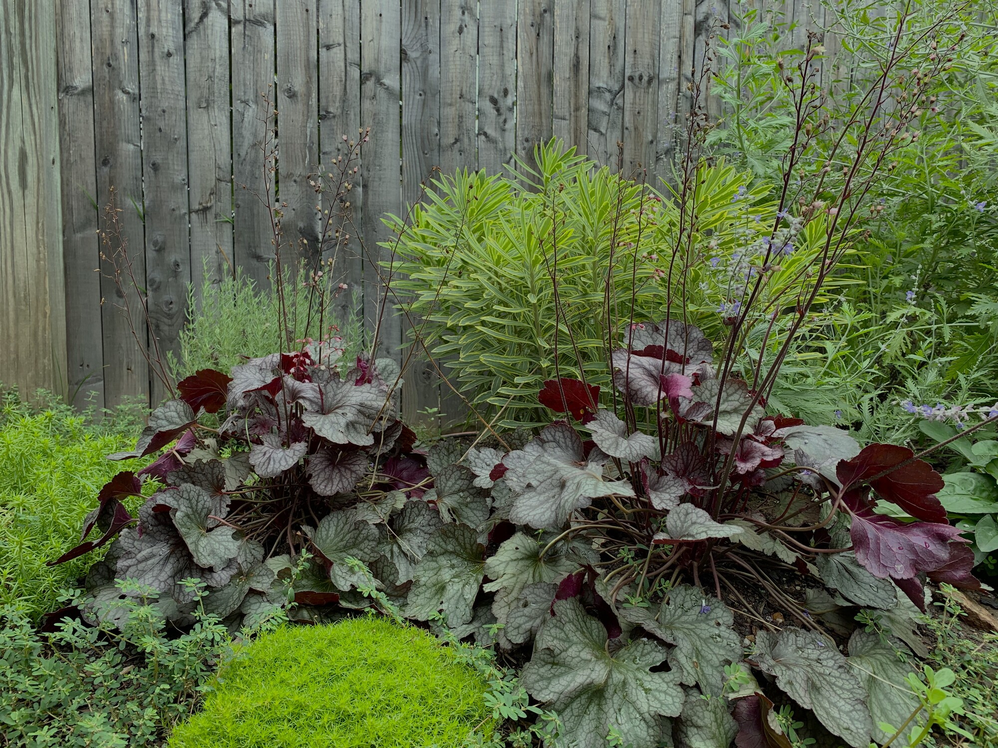 A Shaded Outdoor Living Room in Lambertville, NJ - Photo 7
