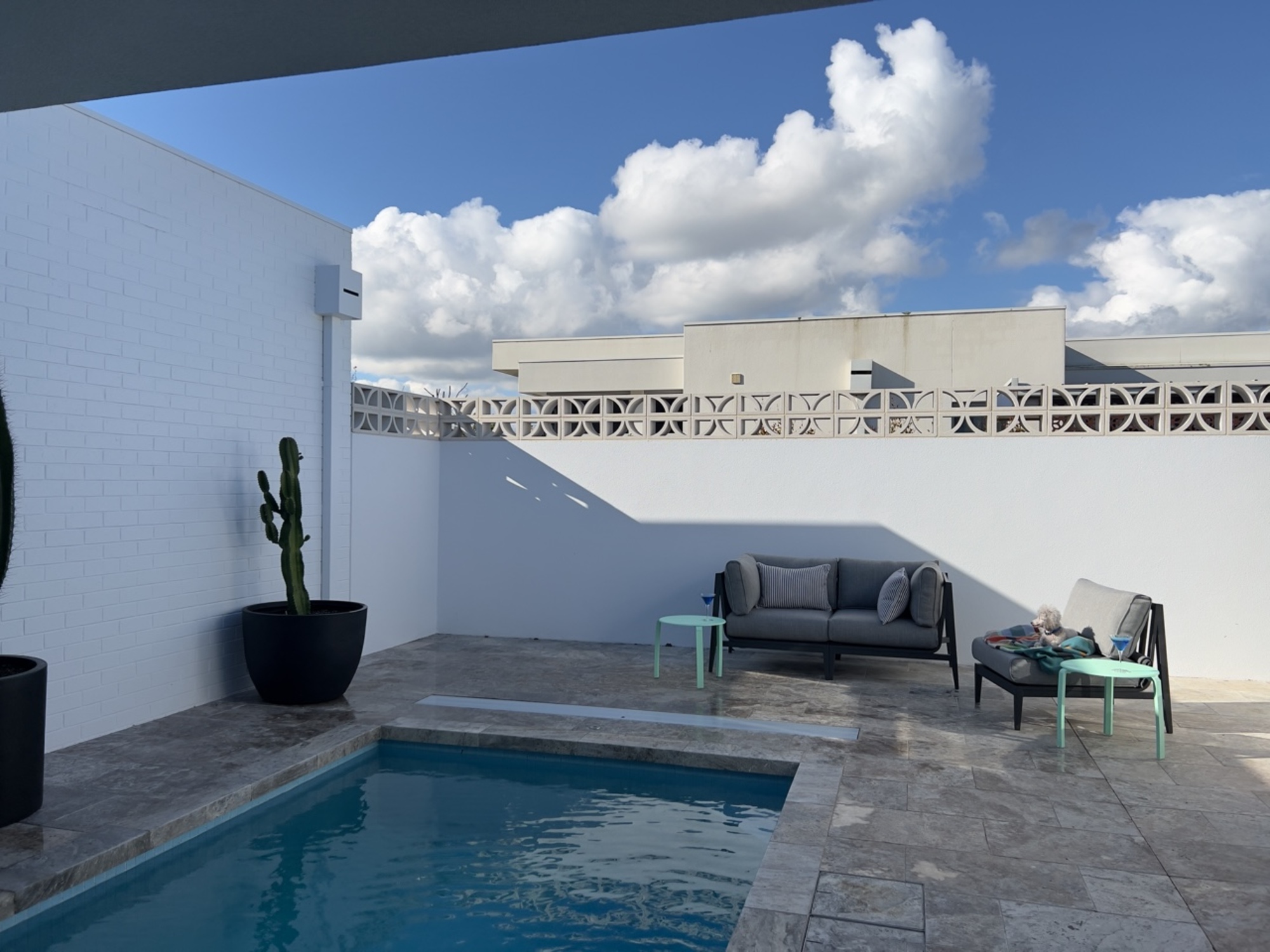 An Australian Poolside Oasis Inspired by Palm Springs - Photo 3