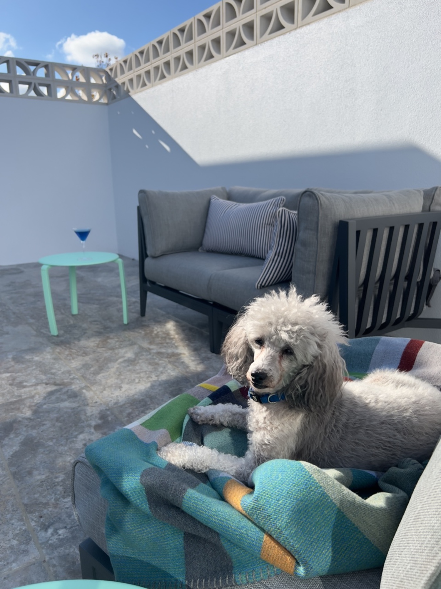 An Australian Poolside Oasis Inspired by Palm Springs - Photo 4