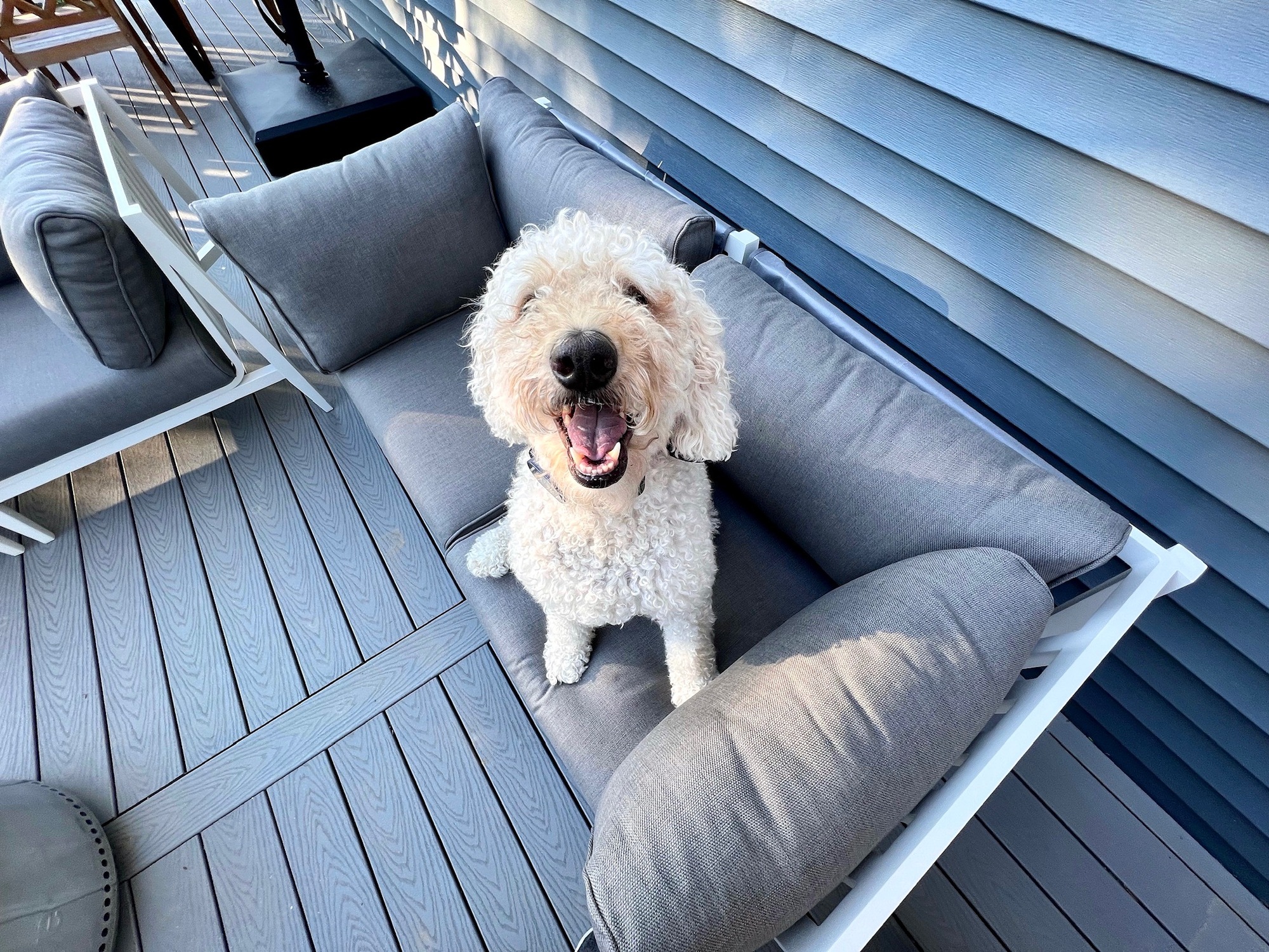 A Social, Pet-Loving Couple’s Deck with a View - Photo 6