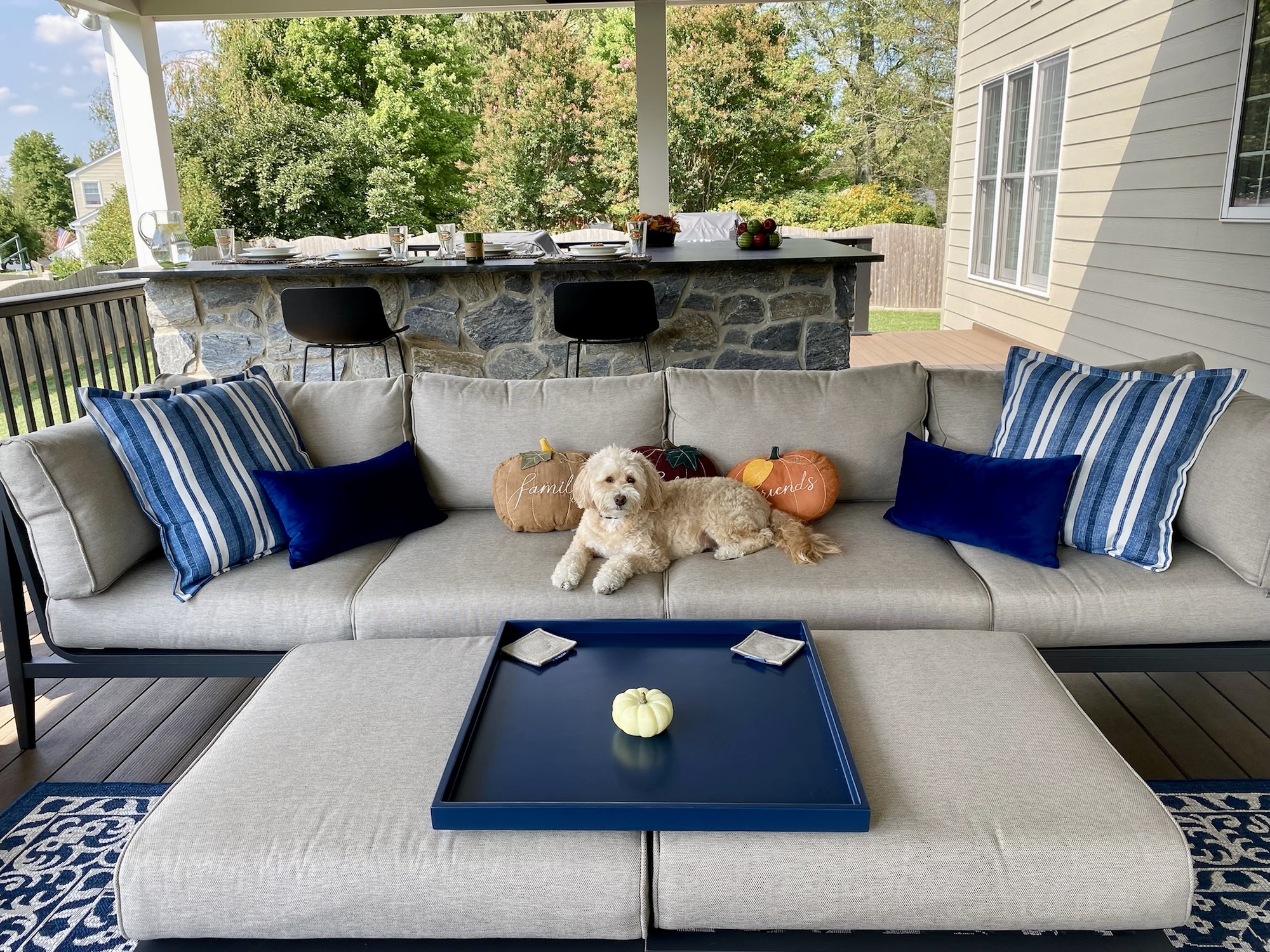 Family Gathering Paradise in West Chester, PA - Photo 7