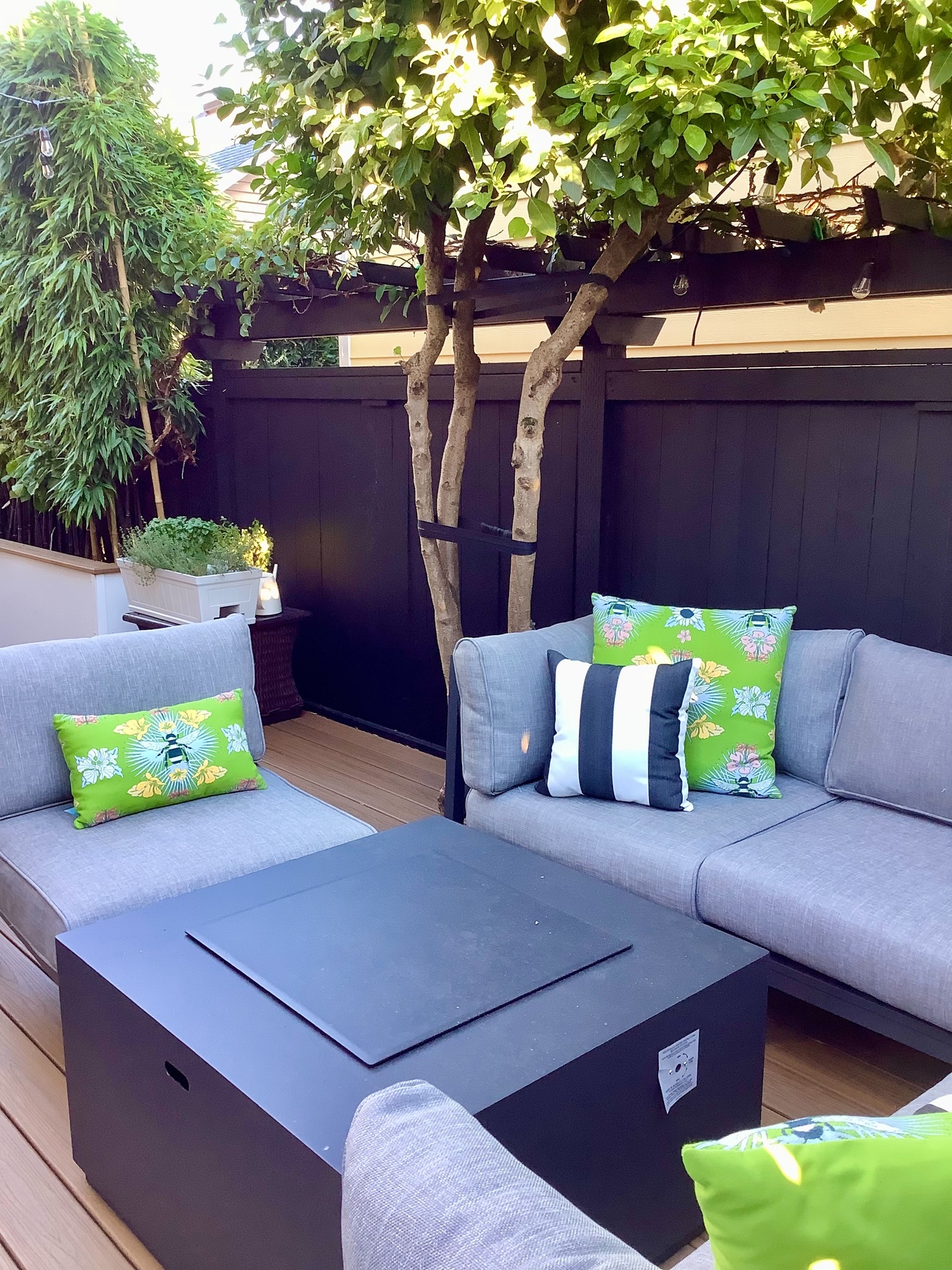 Small Space, Big Living in Kirkland, WA - Photo 3