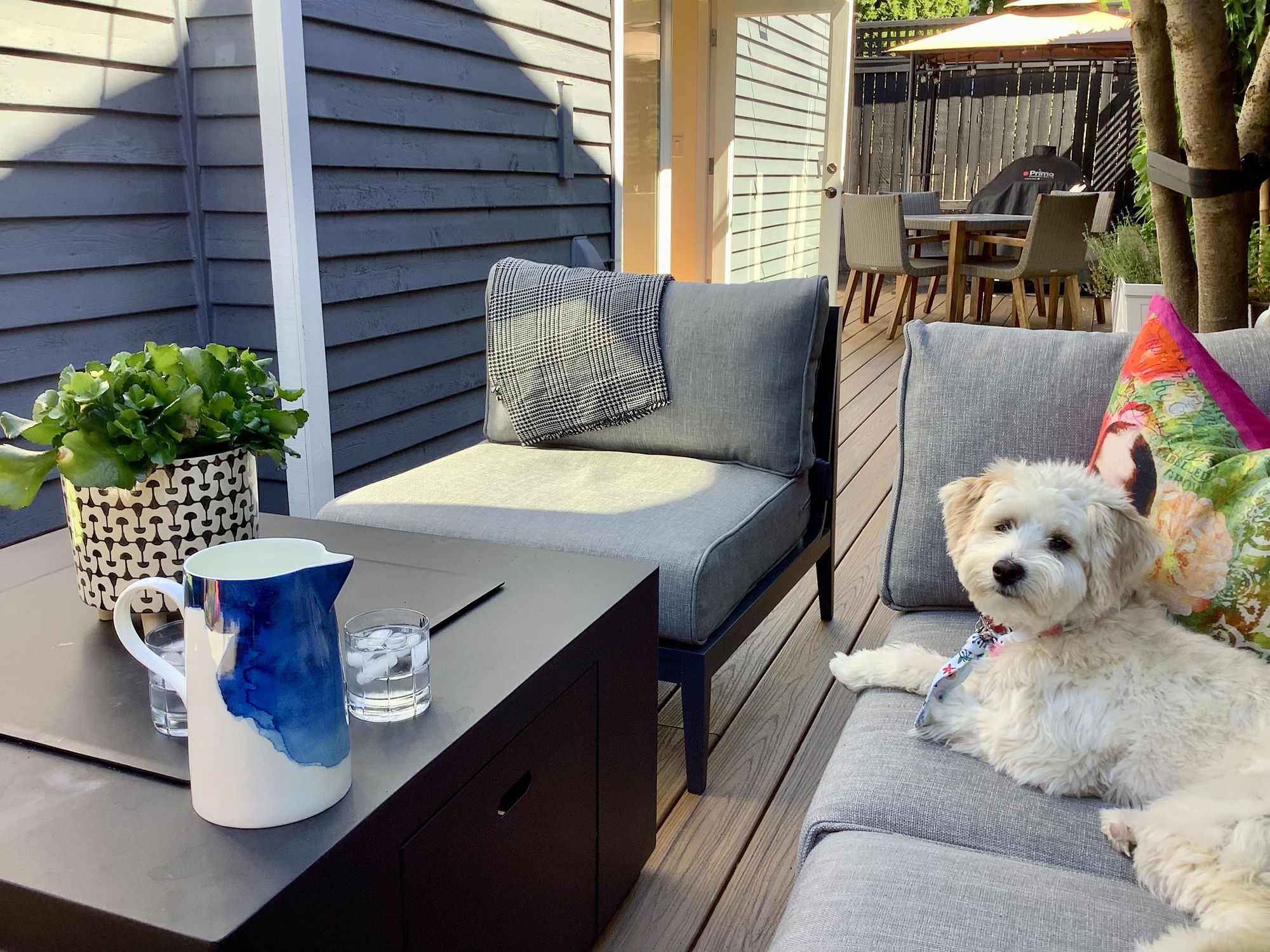 Small Space, Big Living in Kirkland, WA - Photo 5