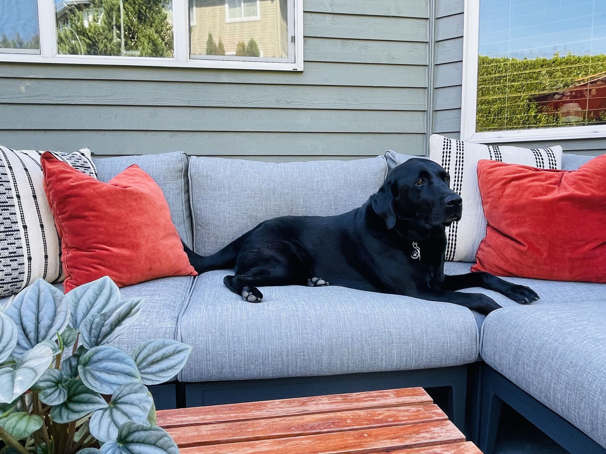  A Family of Five’s Cozy Patio in the PNW - Gallery photo 5 of 11
