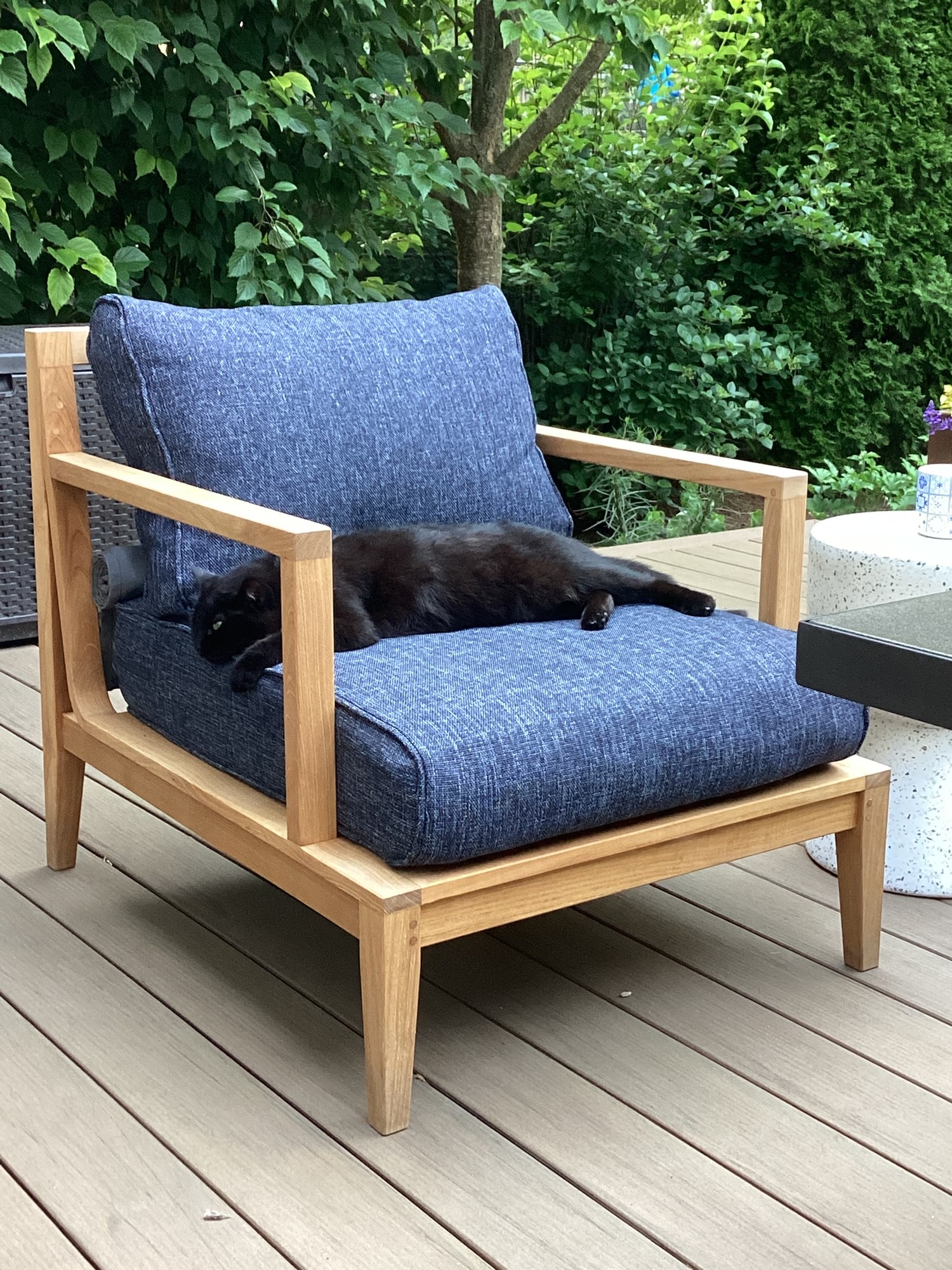 Backyard Oasis in Chicago Suburbs - Photo 7